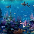 Beautiful underwater World