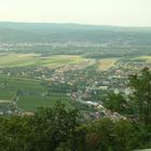 Beautiful view over Stein and Krems!