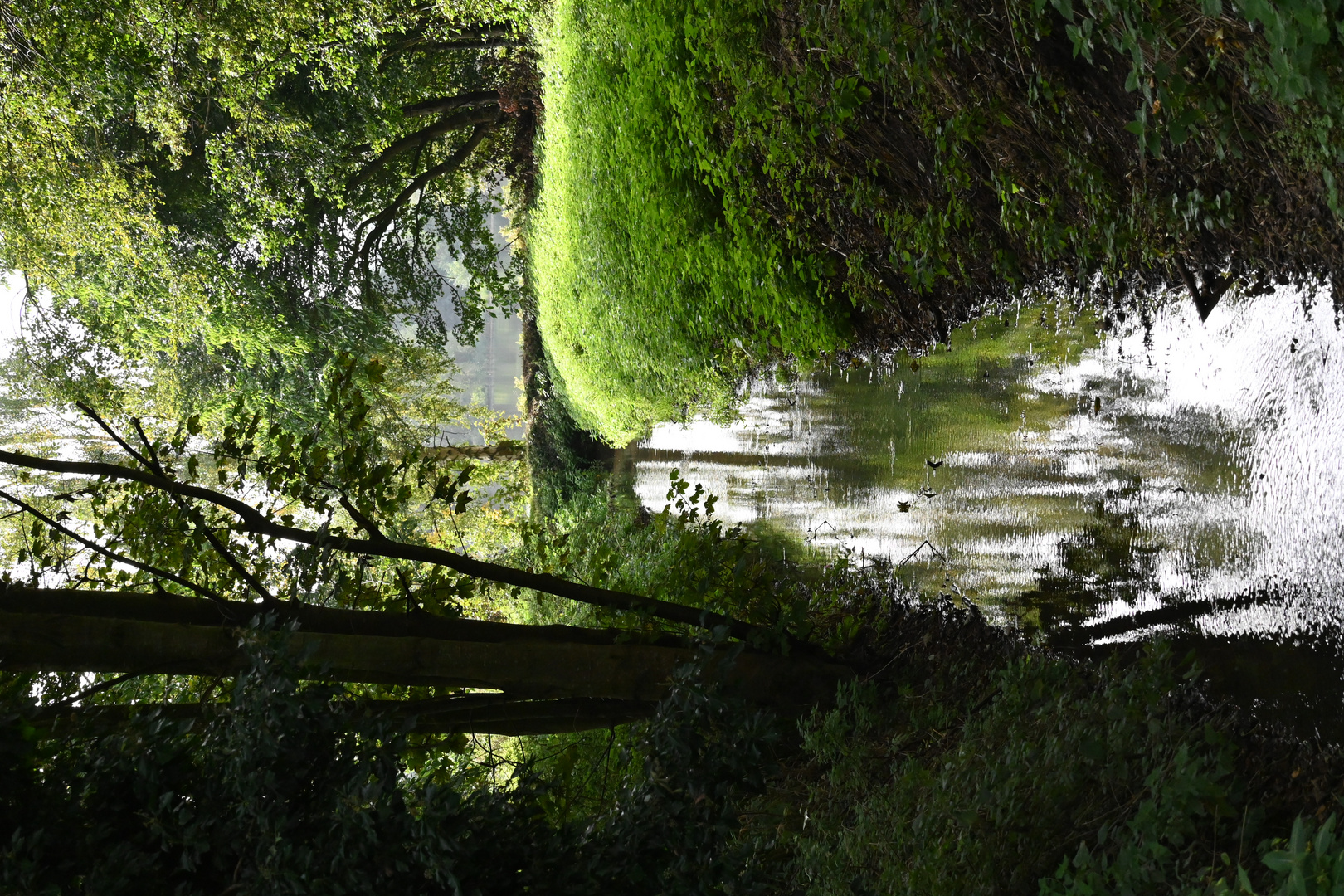 Beautiful walk in warm sunny Norfolk