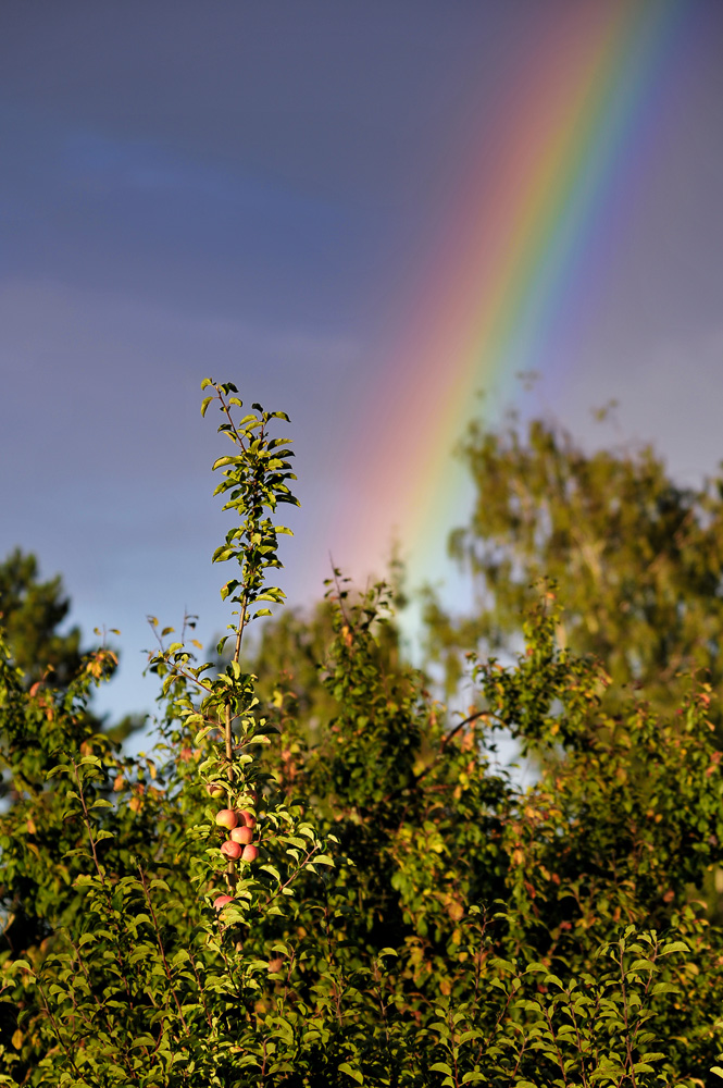 beautiful weather cascades