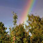 beautiful weather cascades