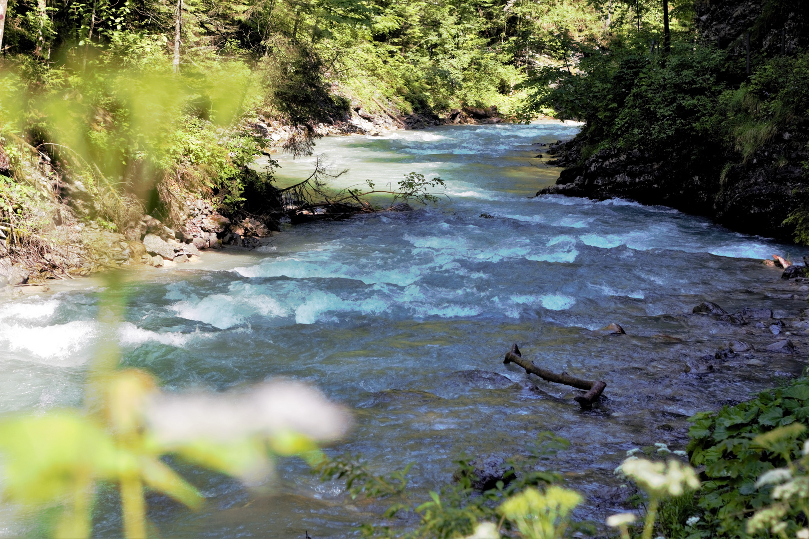 Beautiful wild water