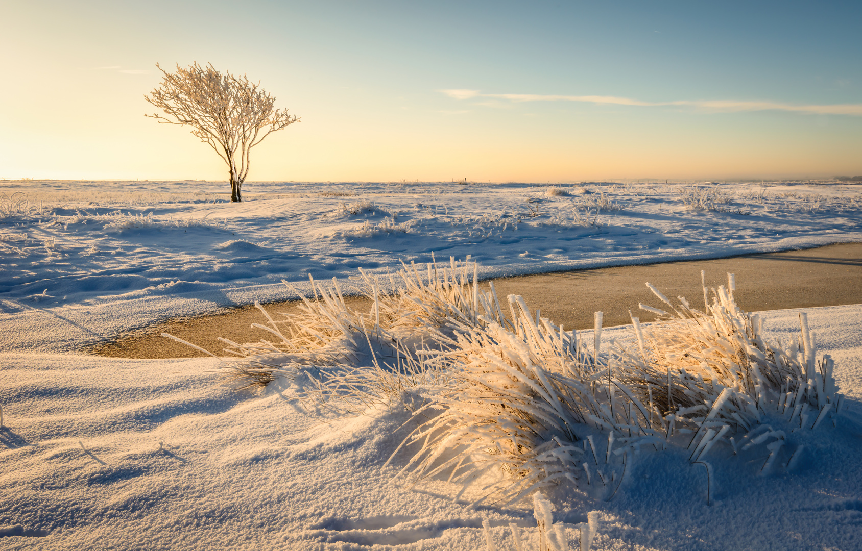 Beautiful winter light