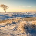 Beautiful winter light