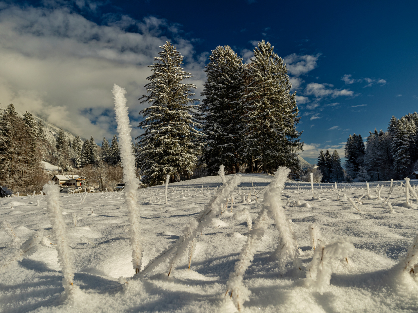 Beautiful Winterday