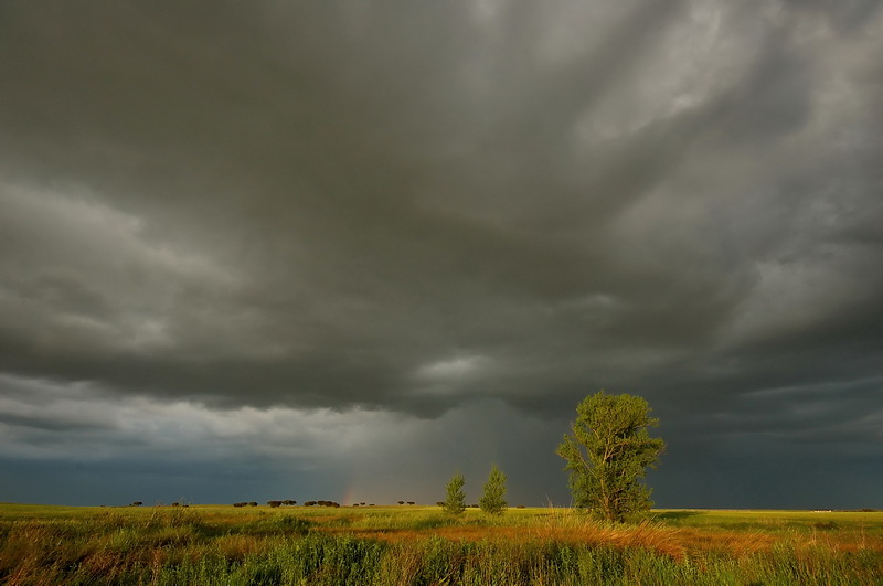 Beautifull light in a stormy day