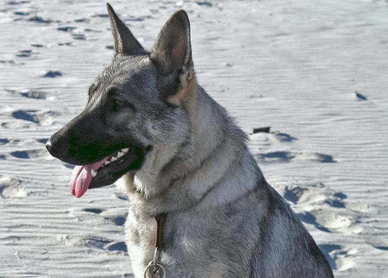 Beauty and the Beach