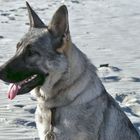 Beauty and the Beach