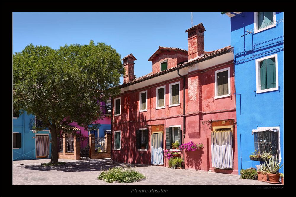 Beauty Burano