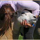 beauty contest at Reeth Show 2