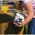 beauty contest at Reeth Show