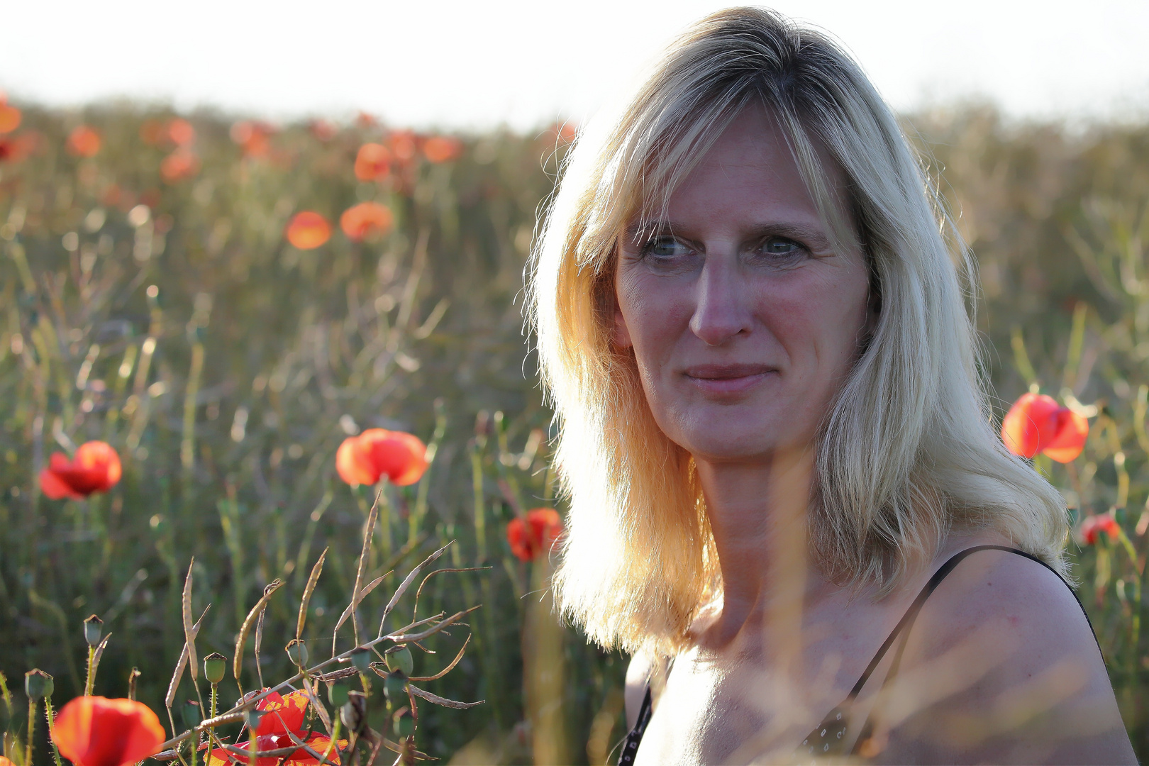 Beauty in a field of poppies