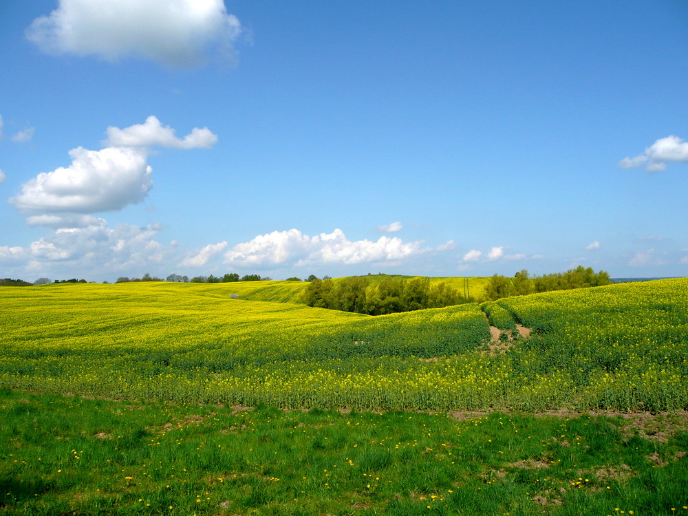 Beauty of landscape