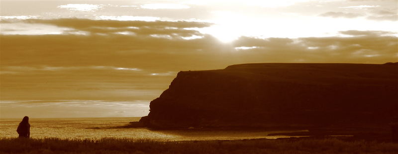 beauty of the catlins