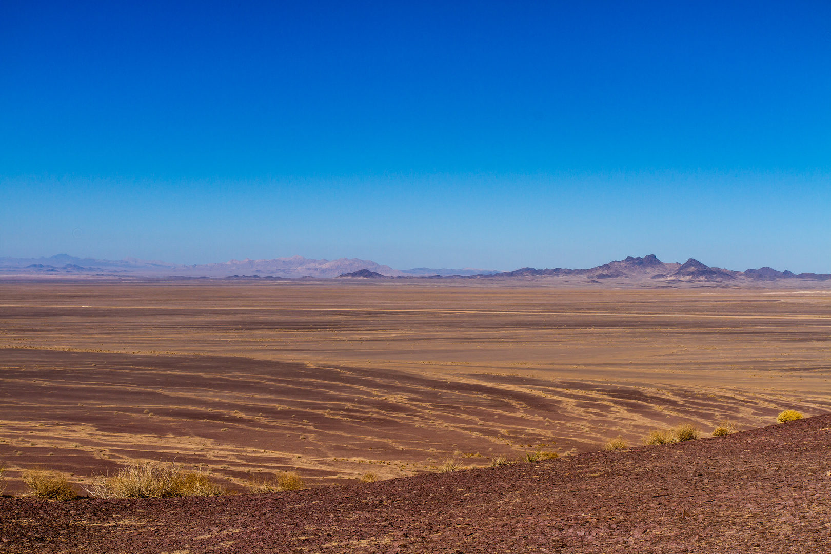 Beauty of the desert