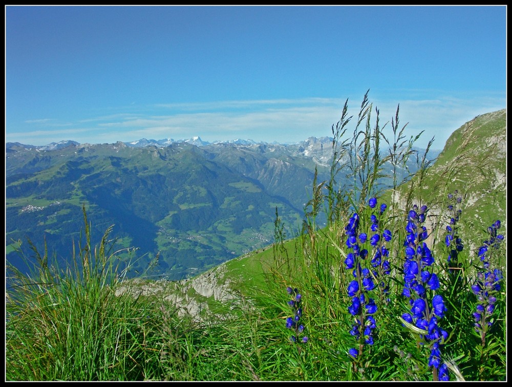 Beauty of the Mountains (2)