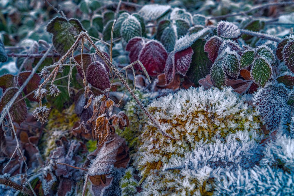 Beauty of the winter landscape