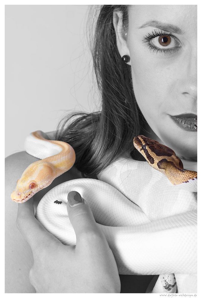 Beauty with snake in colourkey