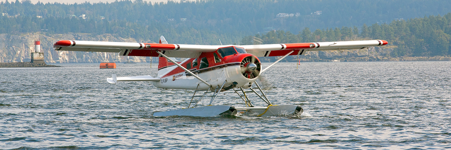 Beaver II