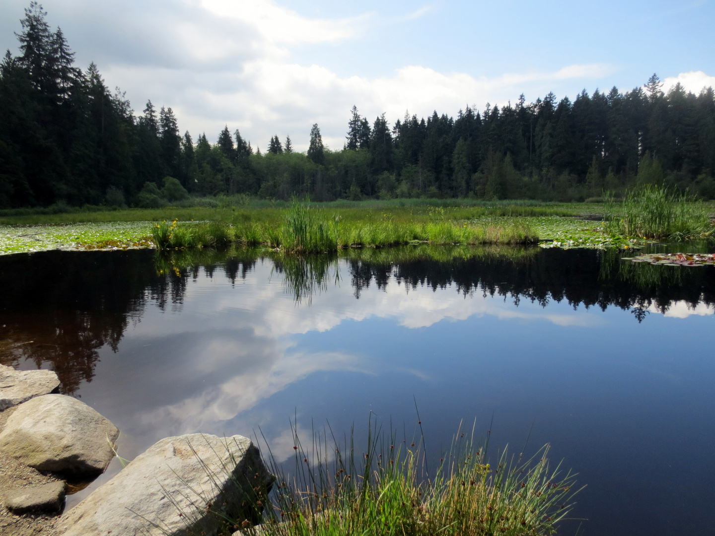 Beaver Lake - Vancouver, Kanada