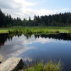 Beaver Lake - Vancouver, Kanada