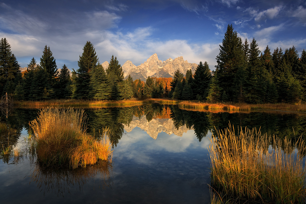 Beaver Pond