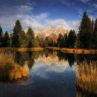 Beaver Pond