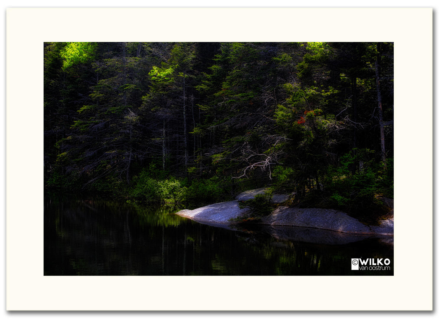 Beaver Pond New Hampshire, 8. Juni 2014