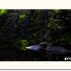 Beaver Pond New Hampshire, 8. Juni 2014