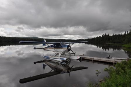 Beaver with Amphips in Alaska...