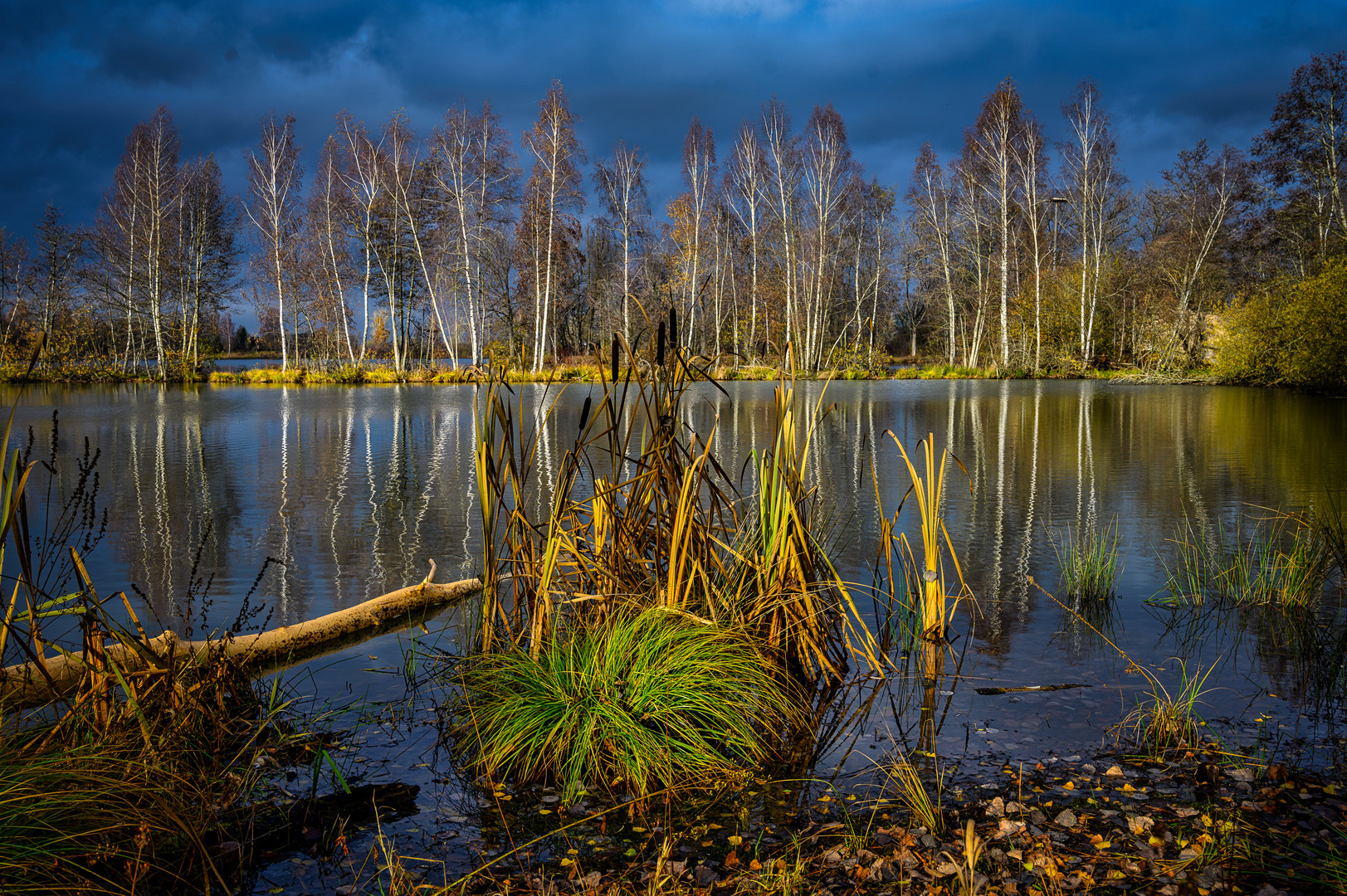 BEAVER WORLD 