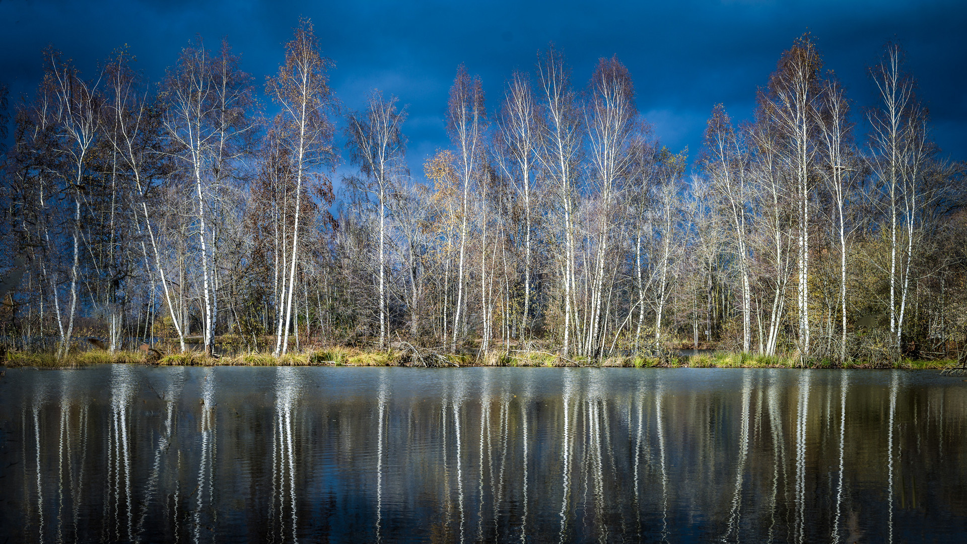 Beaver World II