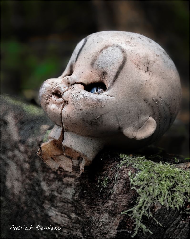 bébé abandonné en forêt