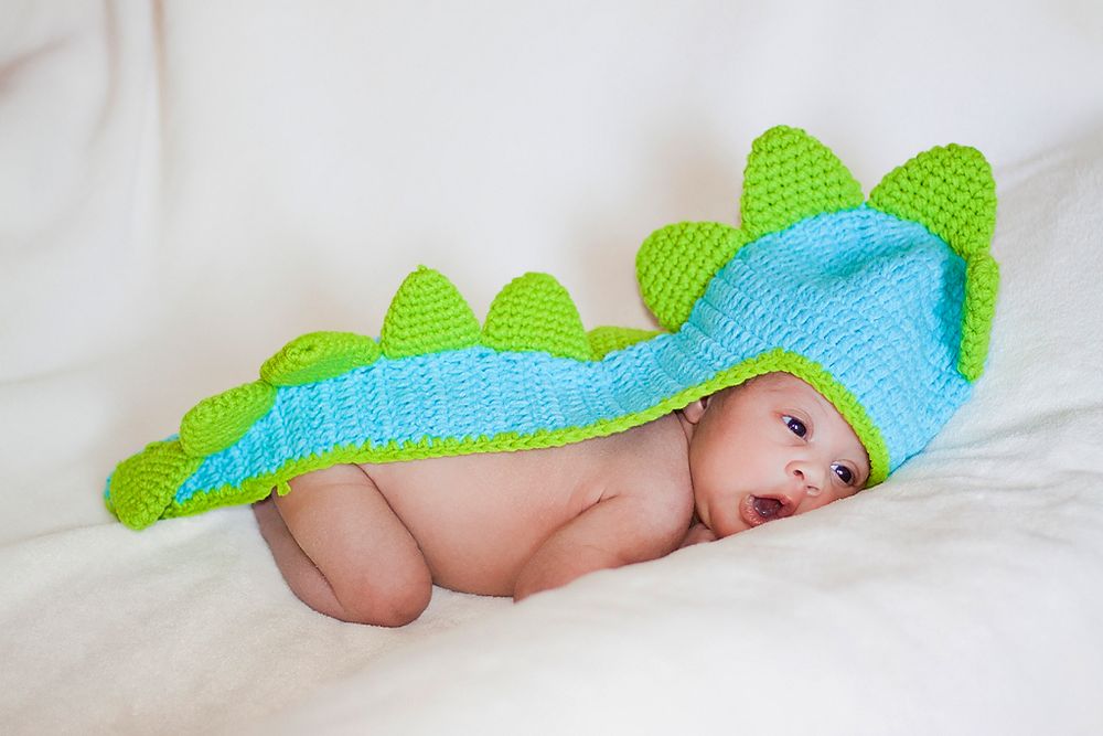 Bébé Dino