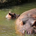 Bébé et maman