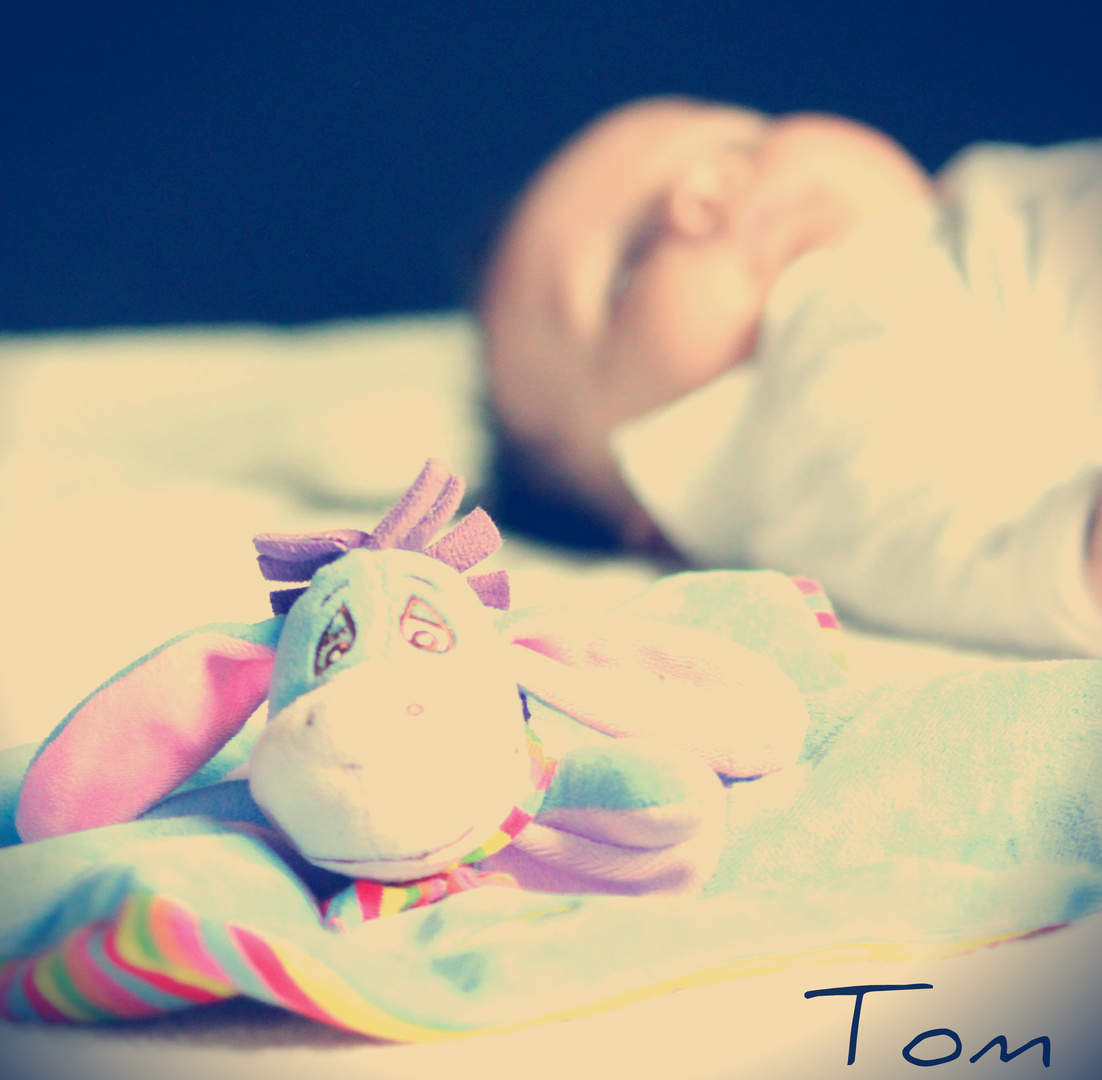 bébé Tom