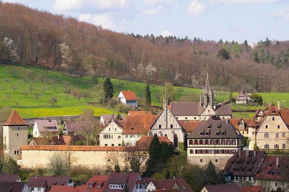 Bebenhausen im Frühling (2)