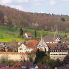 Bebenhausen im Frühling (2)