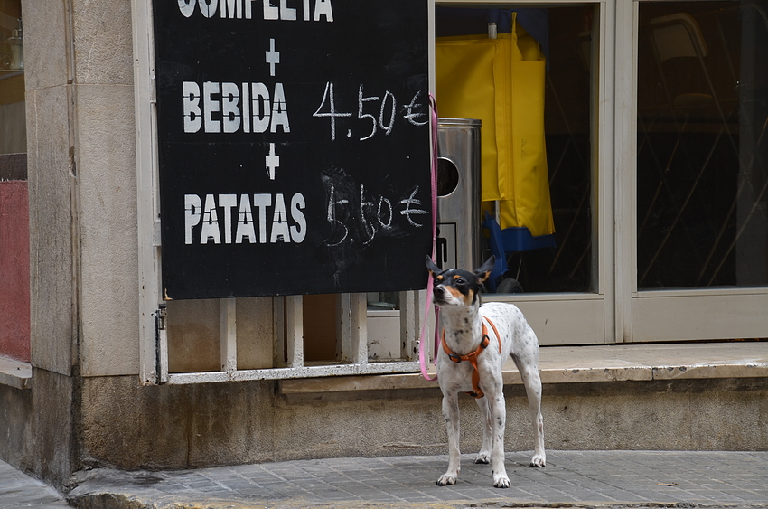 *bebida + patatas*