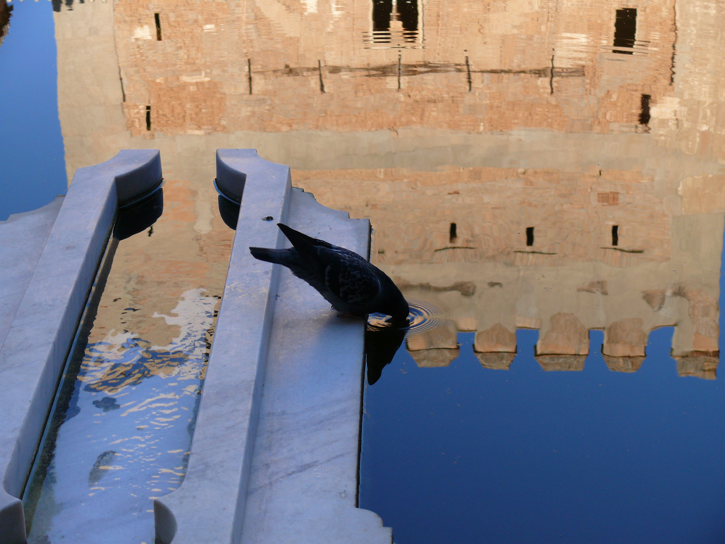 Bebiendo la Alhambra