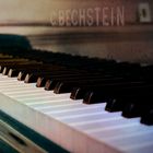 Bechstein Piano