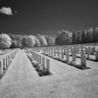 Becklingen War Cemetery