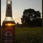 _becks's_gold_im_park_