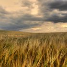 Beckstein Feld HDR