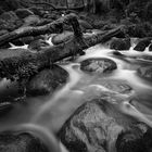 Becky Falls at winter time - Devon