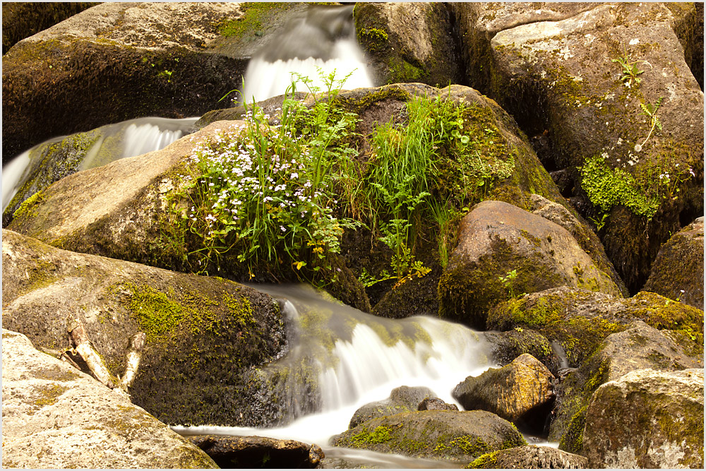 Becky Falls