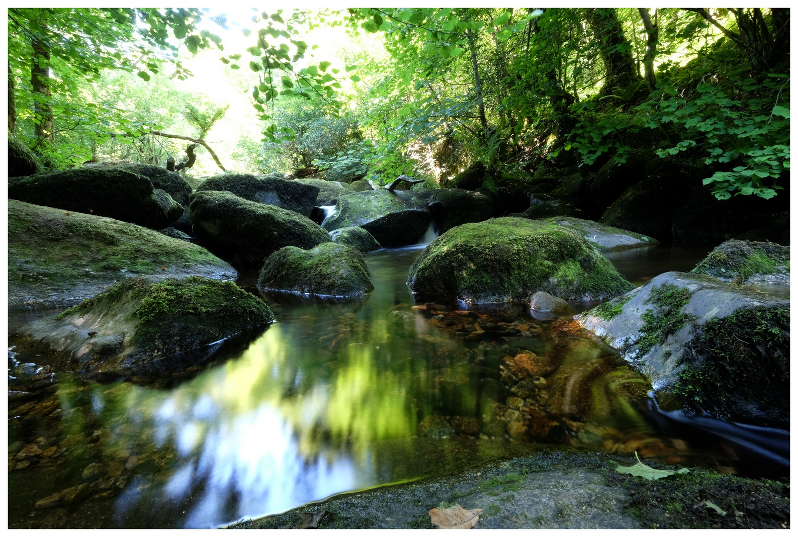 Becky Falls Dartmoor 