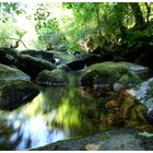 Becky Falls Dartmoor 