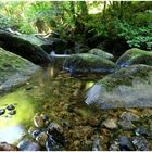 Becky Falls, Dartmoor