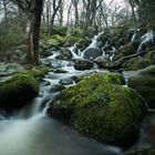 Becky Falls - Devon